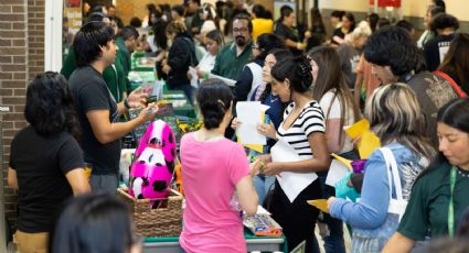 Laredo College ofrece diversos programas académicos; ¿cuáles son y de qué tratan?