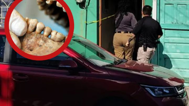 Localizan restos óseos enterrados en una vivienda; así fue el macabro hallazgo