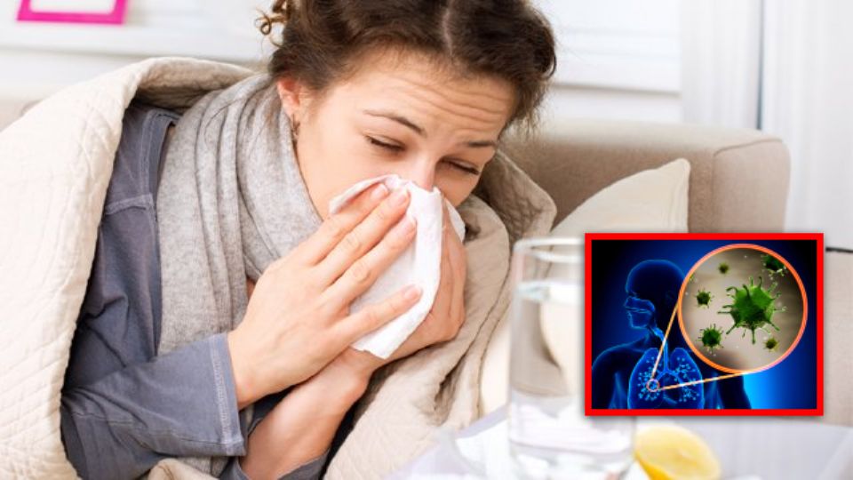 Ante el peligro de la 'supergripe' variante H3N2 de la influenza, es importante conocer los síntomas para tratar la enfermedad adecuadamente