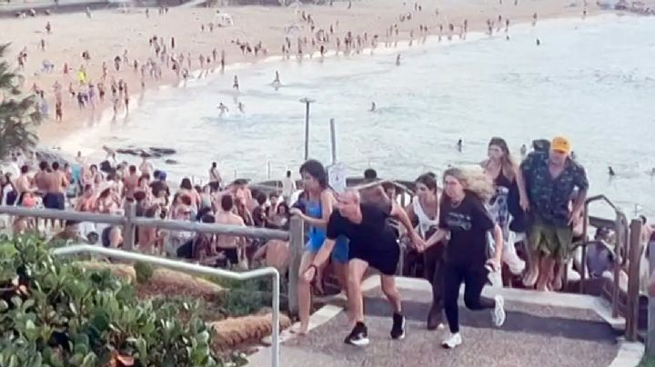 Ataque masivo en playa llena de turistas; van 12 muertos y decenas de personas heridas