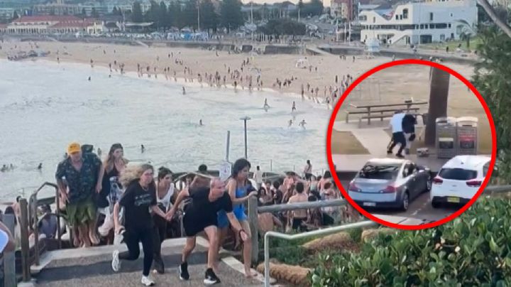 MOMENTO EXACTO en que hombre desarma a tirador en playa de Australia; mató a 12 personas