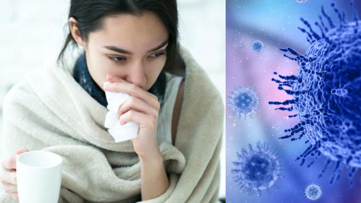 Aprende a diferenciar los síntomas de la influenza H3N2 del resfriado común; estos son los riesgos de no hacerlo