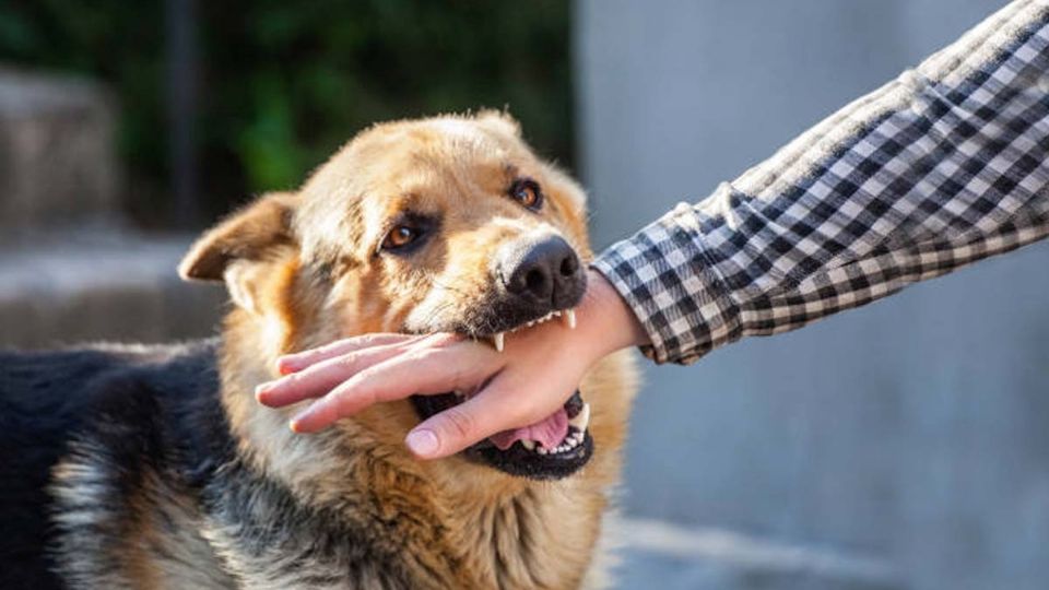 Los ataques pueden ocurrir en el hogar, pero también en la calle