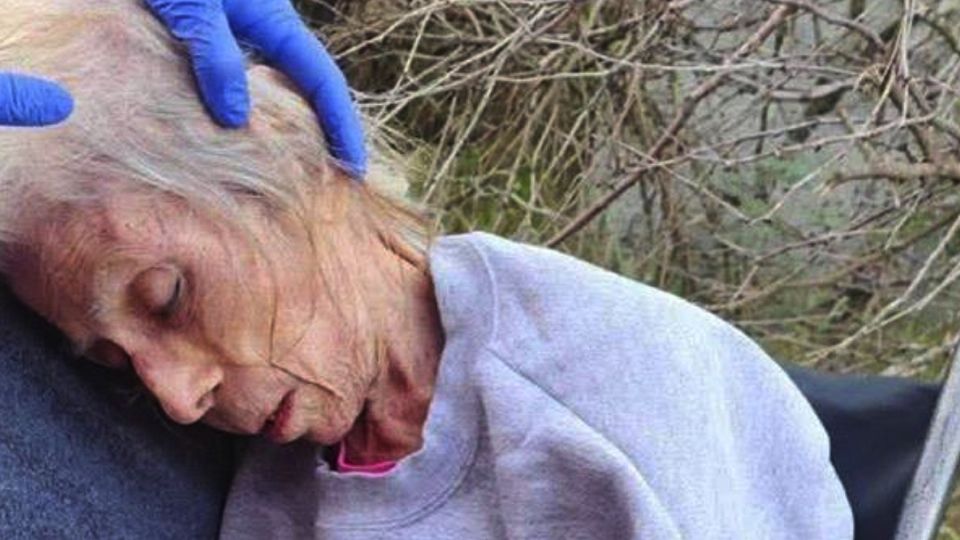 Aún no han ido por Nilda Perales Ramos.