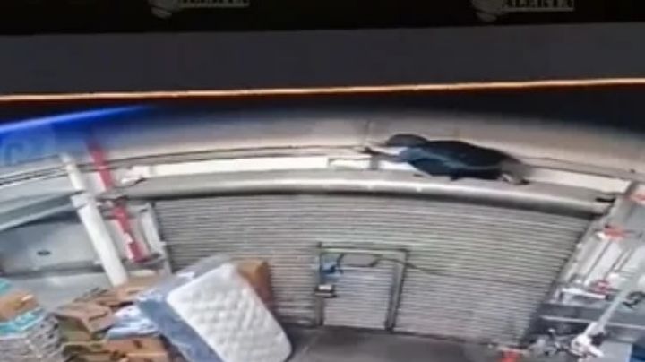 Ladrones escalan muros de Bodega Aurrerá y se llevan electrónicos; el robo supera 1 millón de pesos