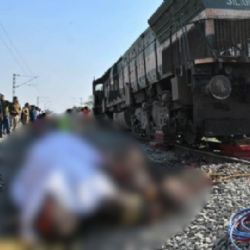 Tren de pasajeros embiste a manada de elefantes en India; mueren siete y uno está gravemente herido