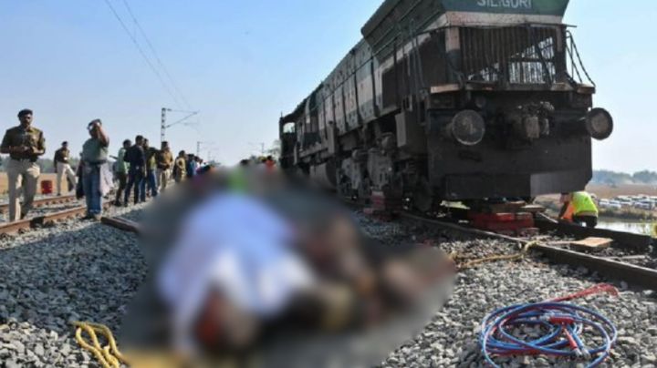 Tren de pasajeros embiste a manada de elefantes en India; mueren siete y uno está gravemente herido