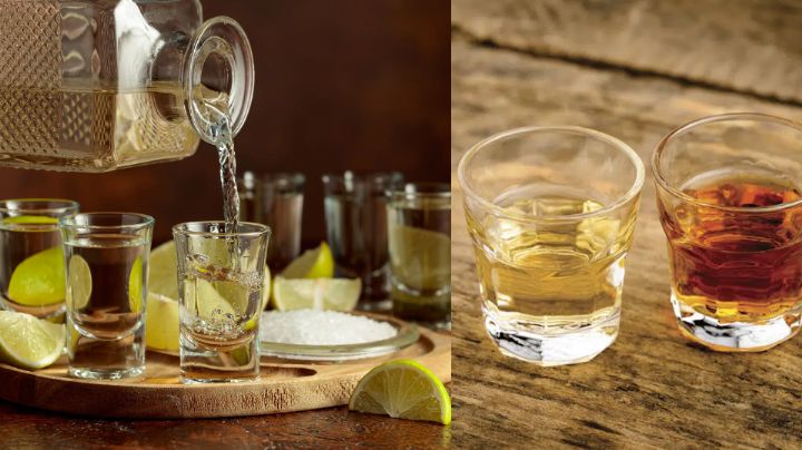 El auténtico tequila se produce en Tamaulipas; conoce cómo beberlo de la forma tradicional