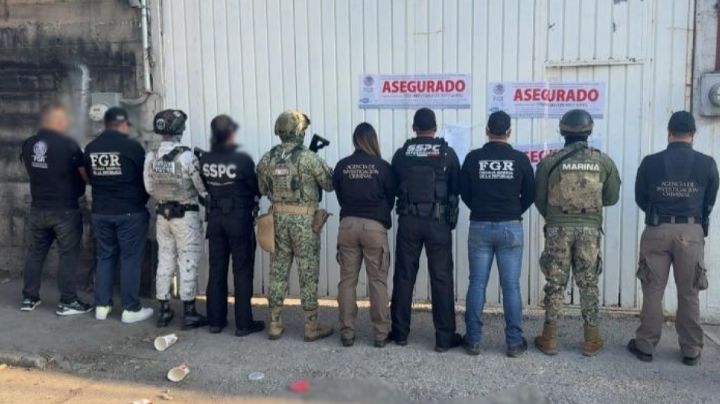 Golpes al crimen en 13 estados del país; Gabinete de Seguridad reporta detenciones, cateos y decomisos