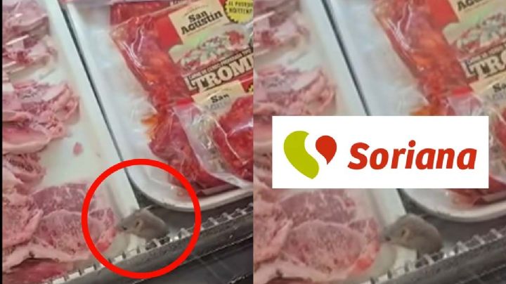 Captan a ratón en Soriana de Nuevo Laredo; estaba en carnicería de la tienda | VIDEO