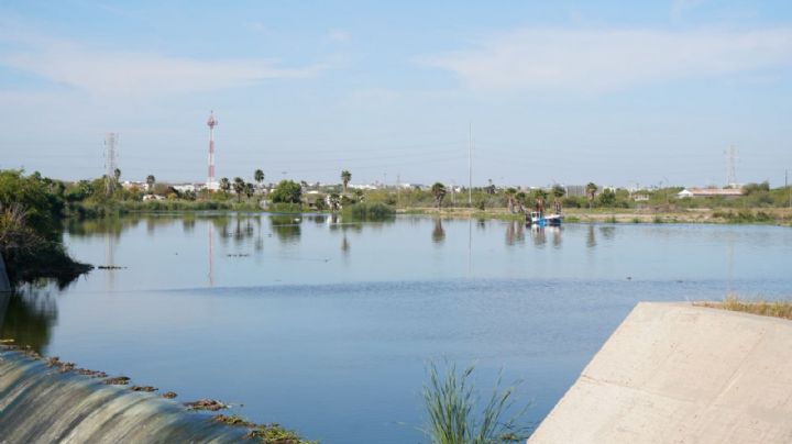 Cocodrilo quería cruzar la carretera; Protección Civil ya trabaja para capturarlo