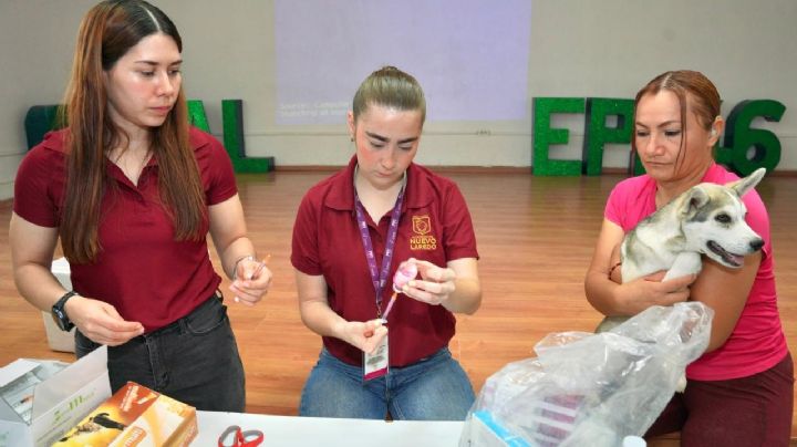 Bienestar Animal fortalece la protección de animales callejeros en Nuevo Laredo