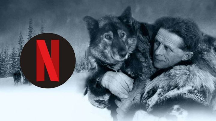 Togo, el perro que hizo la hazaña de la carrera del suero de 1925, pero Balto se llevó las palmas