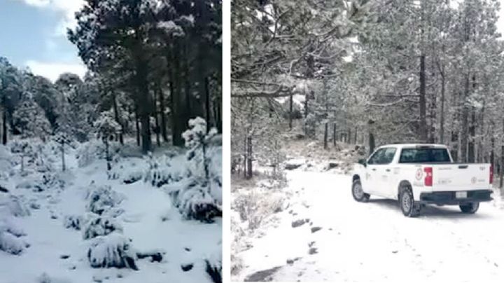 Cae nevada intensa en Veracruz; viajan turistas de otros estados a presenciar el histórico fenómeno