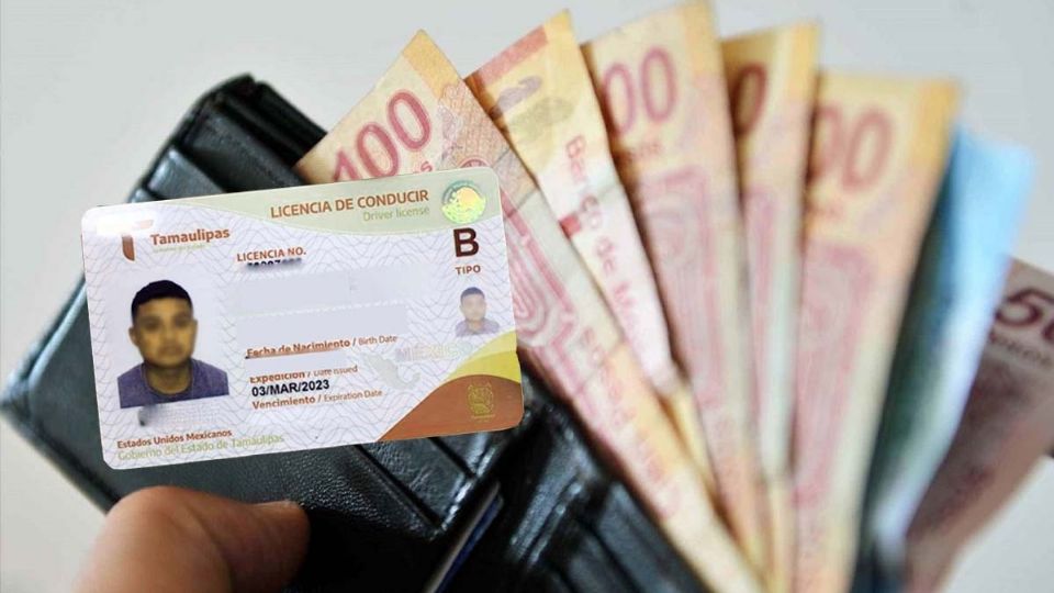Cambios en la licencia de conducir