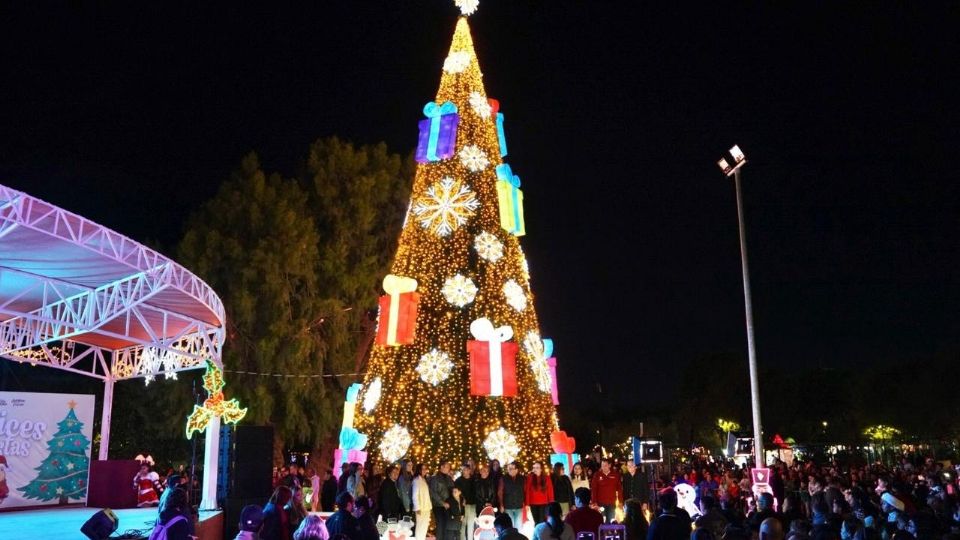 El majestuoso pino navideño en el parque Viveros.