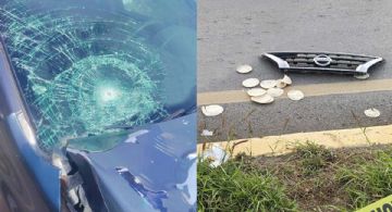 Atrapan a conductor que atropelló a abuelito cuando salió por tortillas | FOTOS