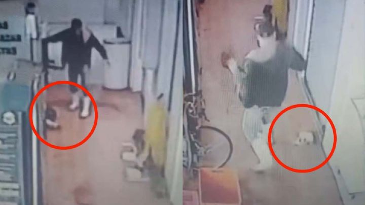 En Mercado Nuevo Laredo, hombre mata a gato a patadas; la autoridad lo busca | VIDEO