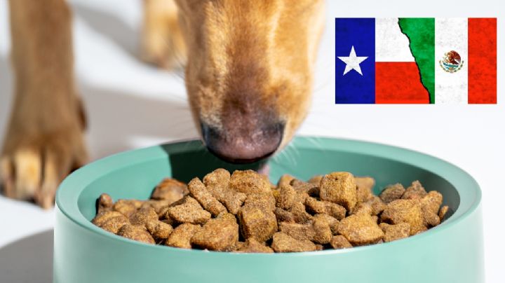¿Dónde conviene más comprar croquetas para mascotas, en Laredo, Texas, o Nuevo Laredo?