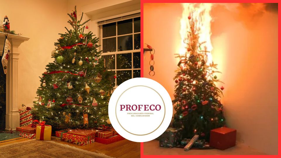 Árbol de Navidad puede incendiarse en 48 segundos; Profeco alerta y da consejos para prevenir accidentes