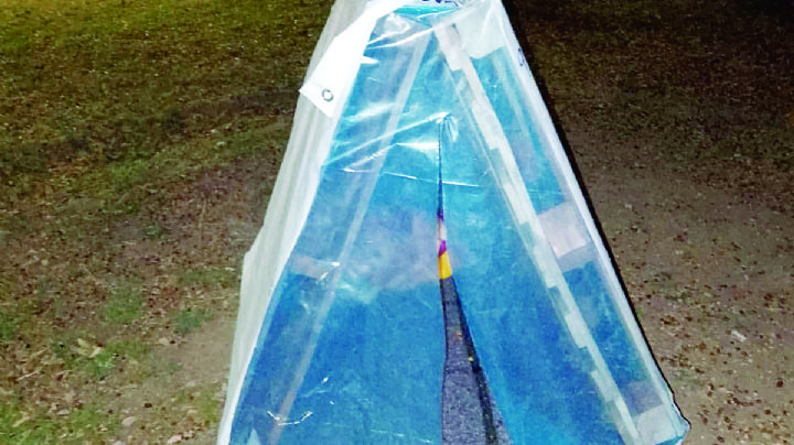 'Casitas de Invierno' darán calor a perritos callejeros en Nuevo Laredo