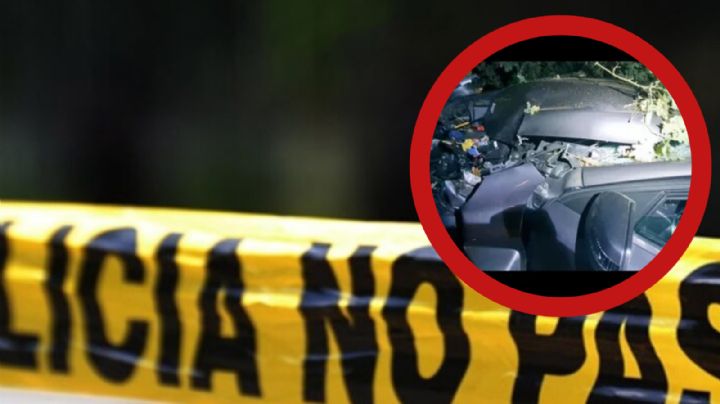 Menor estrella auto contra árbol y el copiloto muere al salir proyectado