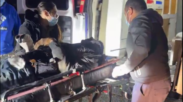 Hombre trata de robar cable, pero cae de poste de CFE; está grave