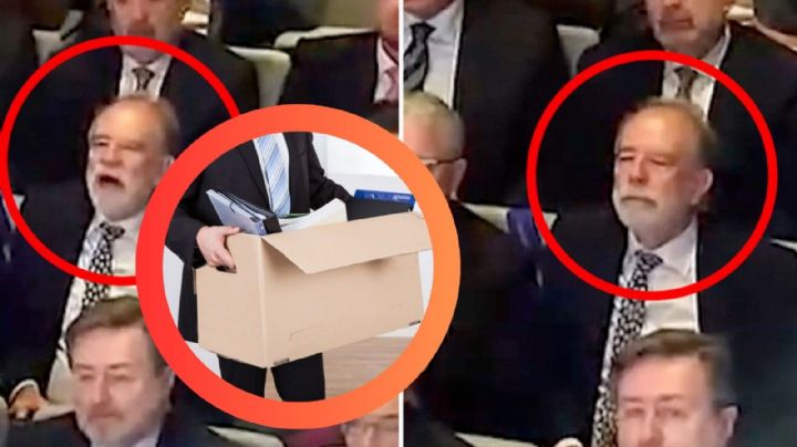 Despiden al embajador de Bélgica por tomar una 'siesta' durante el discurso de su jefe | VIDEO