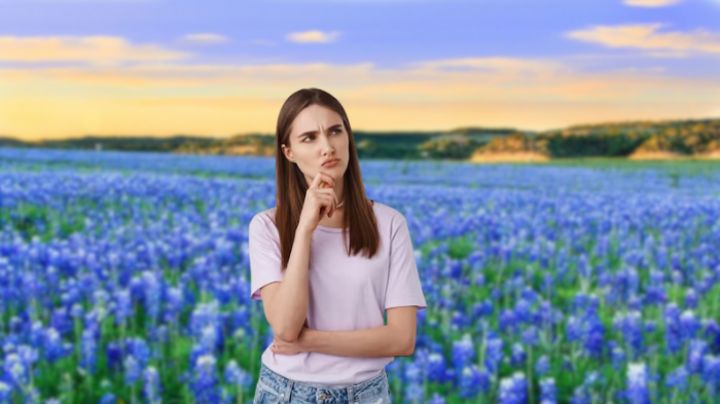 Texas: ¿pueden multarme o encarcelarme por cortar esta flor?