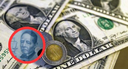 Dólar acorrala e intimida al peso mexicano: tipo de cambio HOY 10 de febrero del 2025