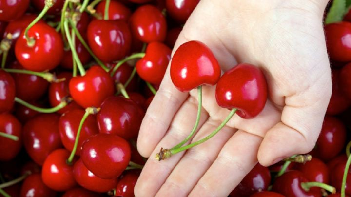 Esto pagan por recolectar cerezas en Canadá de manera legal; te sorprenderás