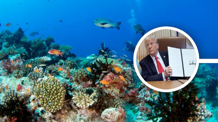 ¿Quién es el dueño del Golfo de México?