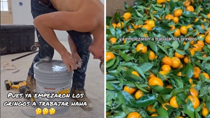 Falta de mexicanos exhibe la inexperiencia de norteamericanos para trabajar | VIDEO