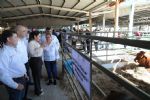 Carmen Lilia Canturosas impulsa el programa 'Mejoramiento Ganadero NLD' en Nuevo Laredo
