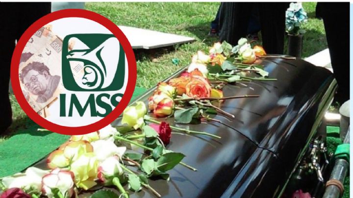 IMSS: pensión de viudez, ¿en qué situaciones puedes perderla?