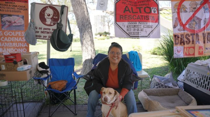 31 mascotas ya tienen nuevo hogar; perros y gatos rescatados fueron adoptados