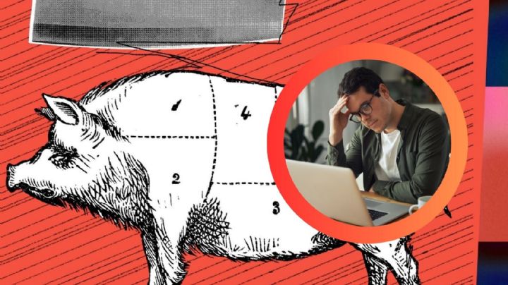 ‘Matanza de cerdos’: el cruel fraude que está tomando fuerza, esto sabemos