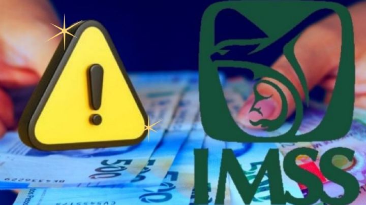 IMSS: documentos necesarios para evitar la suspensión de tu pensión en marzo