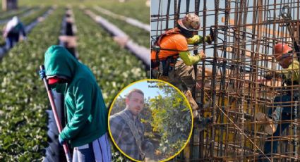 Captan a 'gringos' trabajando en huertos tras la deportación de migrantes  | VIDEO