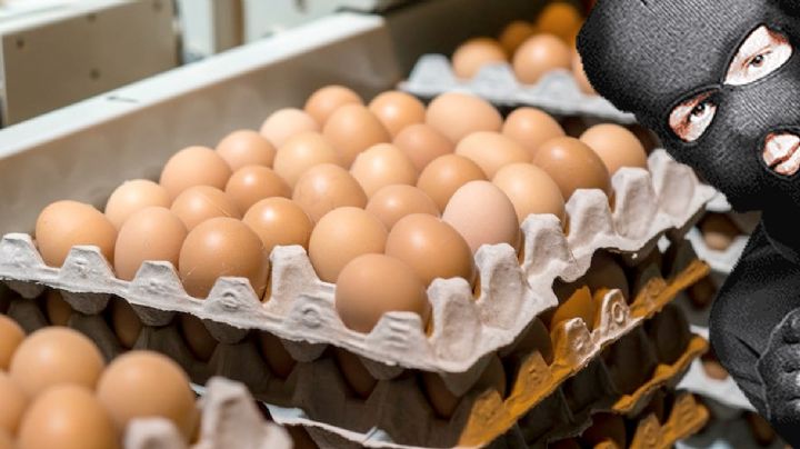Se dispara robo de huevos en Estados Unidos: roban 100 mil en Pensilvania y 540 en Seattle