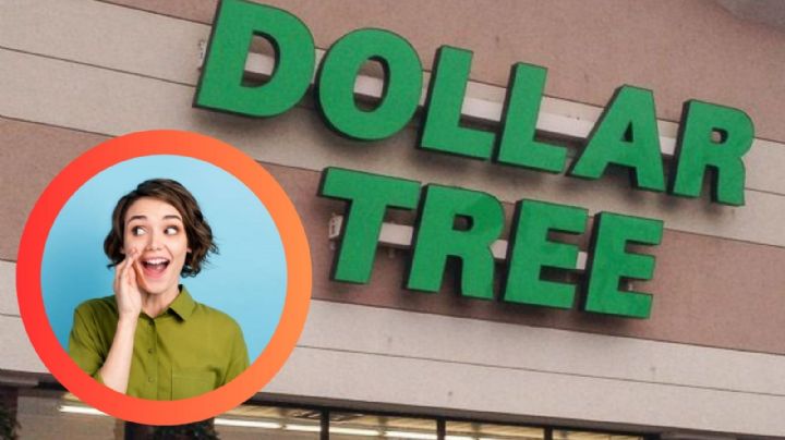 Dollar Tree: ¿por qué estas tazas de 1.25 dólares son un éxito rotundo?; 'vuelan' de los estantes