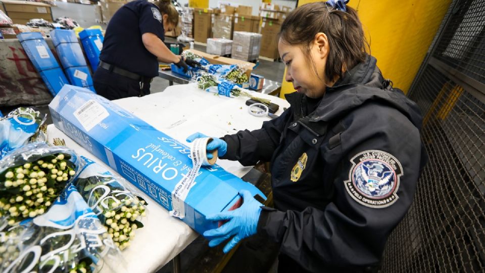 CBP revisará que flores entren al país