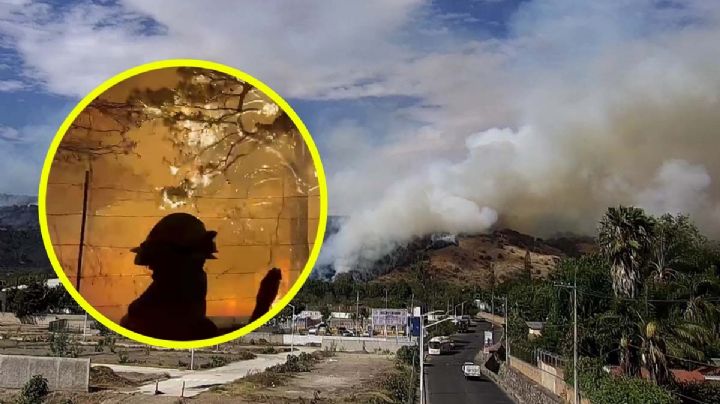 Incendio forestal en Jalisco consume Bosque de la Primavera; suspenden clases
