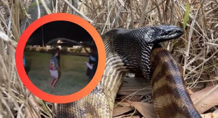 Niños usan a serpiente pitón cabeza negra para saltar la 'cuerda' | VIDEO