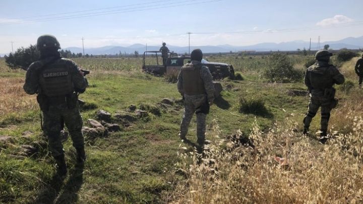 Gabinete de Seguridad asegura sustancias ilegales en varios estados de México