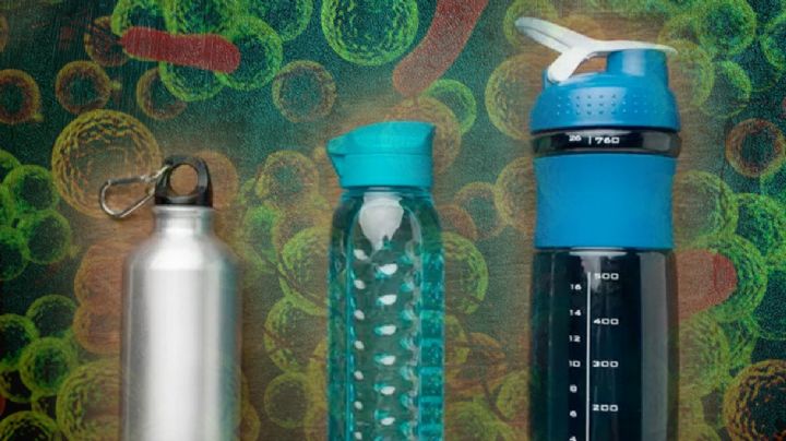 Estos gérmenes pueden estar alojados en tu termo por no lavarlo bien; así puede afectar a tu salud