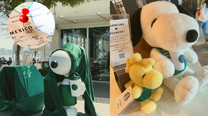 ¿Eres fan de Snoopy y te gusta el café?; te interesará leer esta noticia