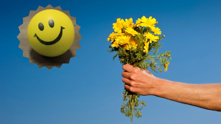 21 de marzo: ¿qué significa regalar hoy flores amarillas?