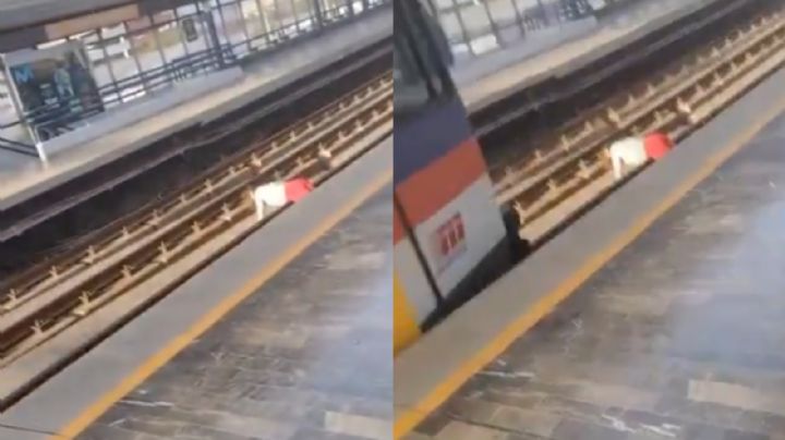 Mujer se arroja a las vías del metro; ¿tren logró detenerse a tiempo? | VIDEO
