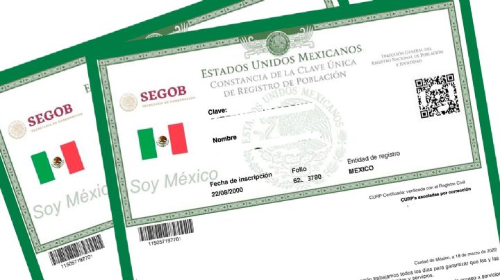 Ante los nuevos cambios, ¿hasta cuándo seguirá siendo válida la CURP actual?